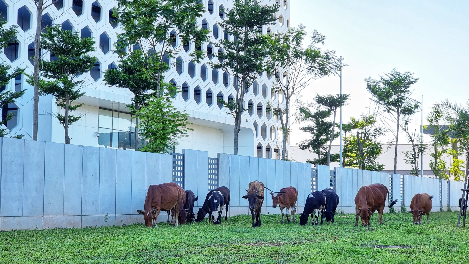 Hiện trạng 2 thành phố tương lai bao quanh nội đô Hà Nội - 5 Hiện trạng 2 thành phố tương lai bao quanh nội đô Hà Nội - 5