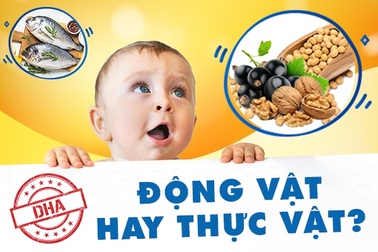 Mẹ cần biết: Sự thật không ngờ về DHA động vật và DHA thực vật