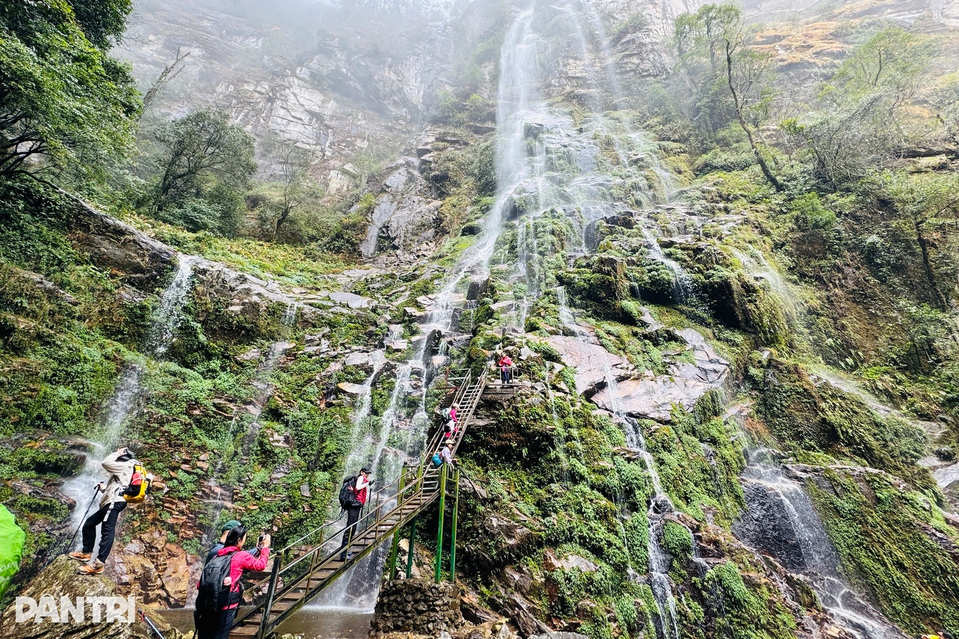Ngủ đêm trong rừng, dậy từ 3h để săn bình minh ở độ cao gần 3.000m - 6