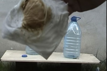 Thực nghiệm khói thuốc lá ám vàng phổi chỉ là để "dọa nạt"?