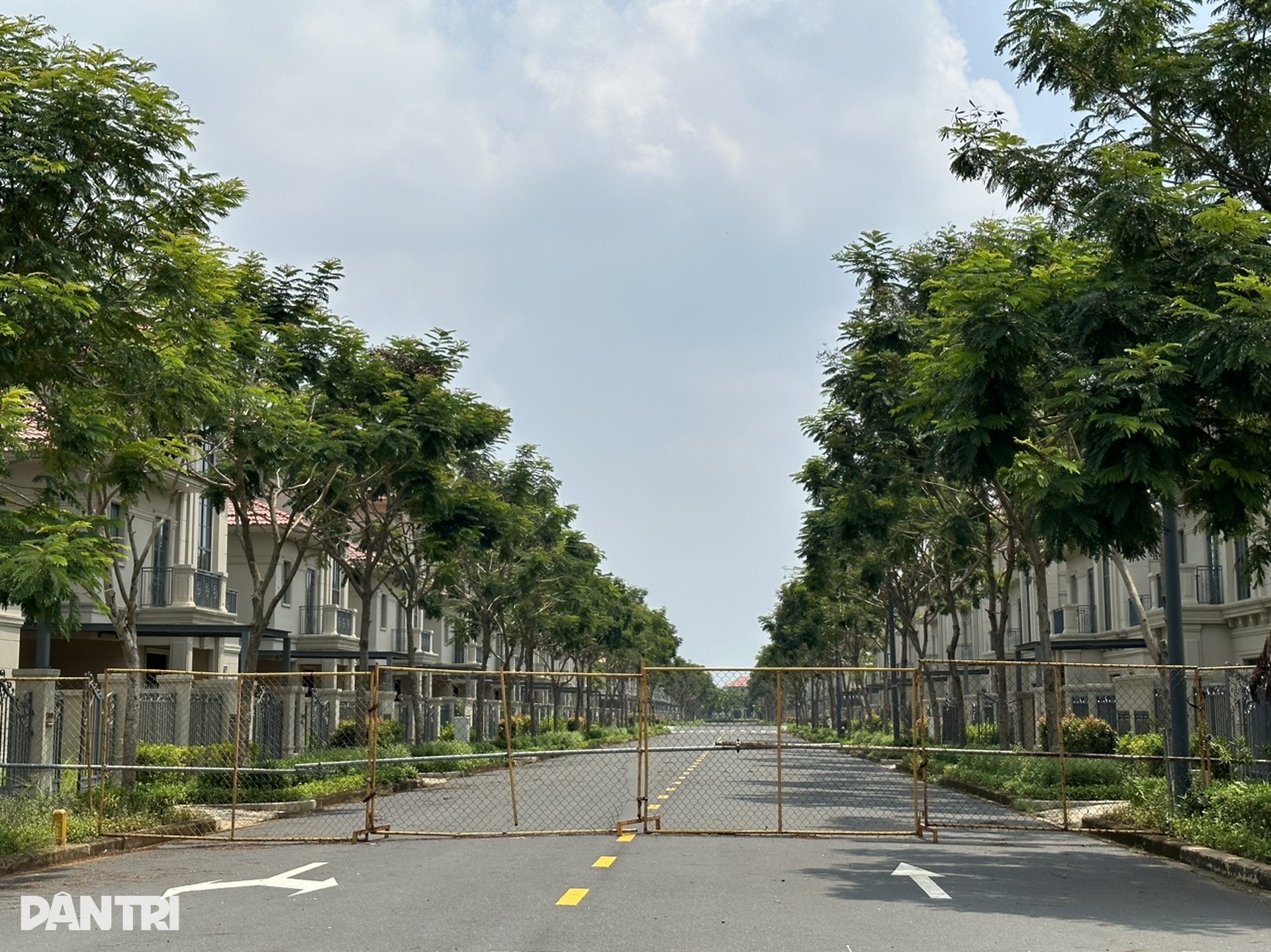 Thành phố ma Nhơn Trạch hoang tàn, thành nơi thả trâu sau 20 năm - 4 Thành phố ma Nhơn Trạch hoang tàn, thành nơi thả trâu sau 20 năm - 4