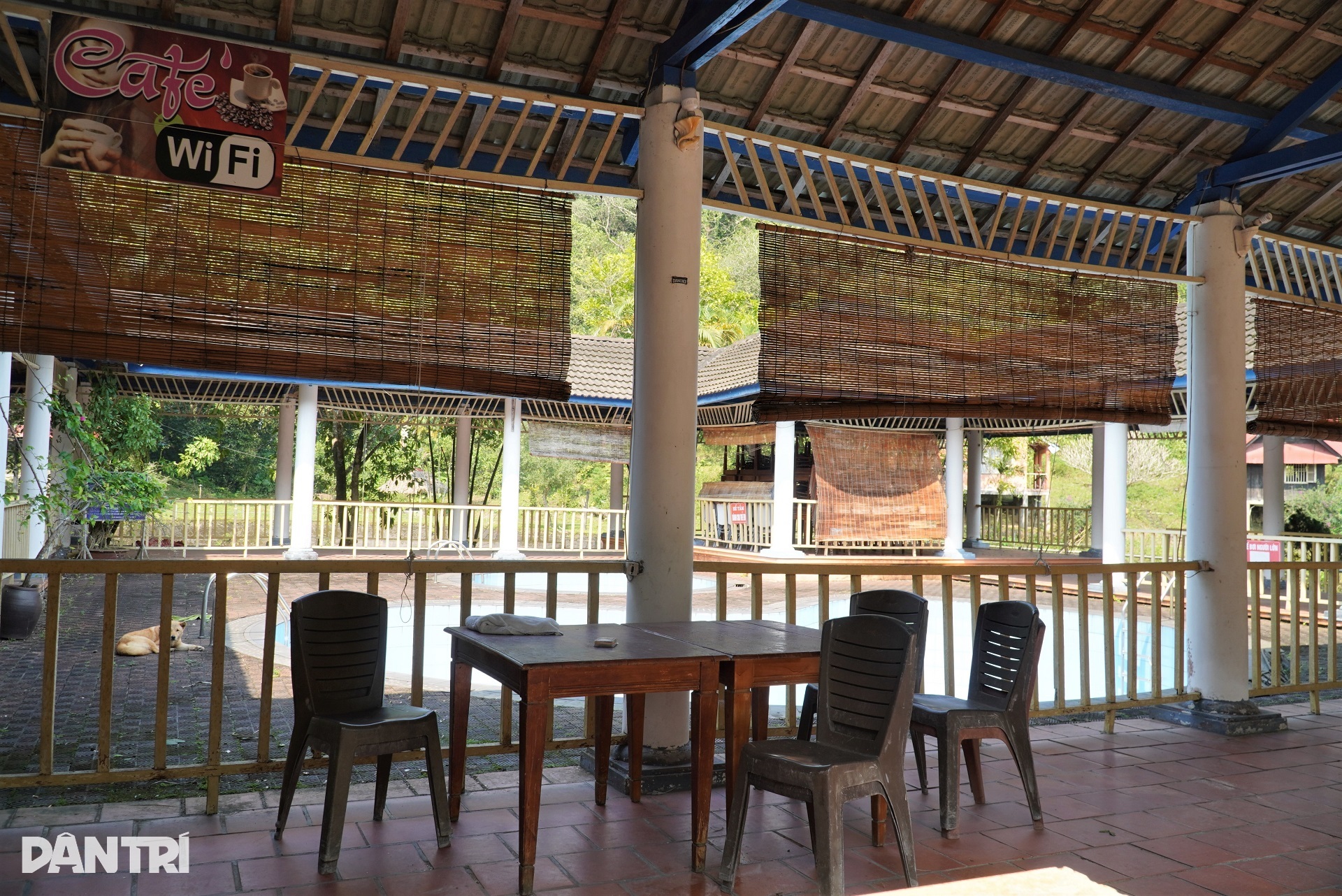 Hoang tàn khu sinh thái từng có mỏ nước khoáng nổi tiếng ở Hà Tĩnh - 9 Hoang tàn khu sinh thái từng có mỏ nước khoáng nổi tiếng ở Hà Tĩnh - 9