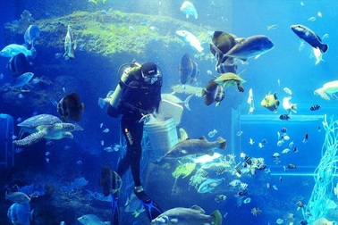 Vinpearl Land - Lựa chọn số 1 cho kỳ nghỉ