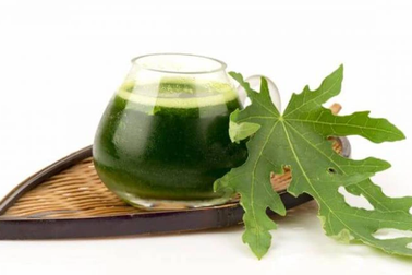 Lá đu đủ có chống lại ung thư?