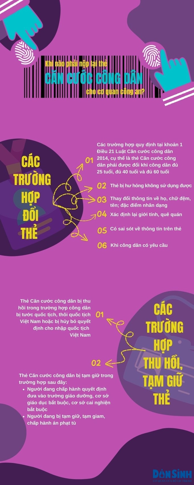 infographic 8 (3)