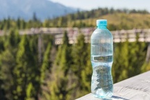 Cách mạng trong xử lý rác: Nhựa phân hủy sinh học bằng vi khuẩn tự ăn