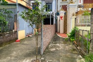 Hà Nội: Không tháo dỡ công trình vi phạm, hộ dân trồng thêm cây chắn ngõ