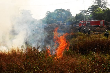 Hoảng loạn vì bãi cỏ rộng hàng ngàn m2 bốc cháy