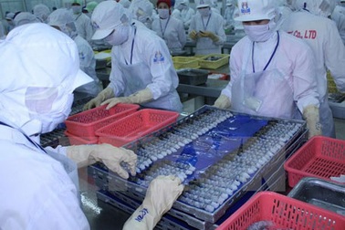 Cà Mau sẽ tuyển 10.000 lao động cho các nhà máy thủy sản