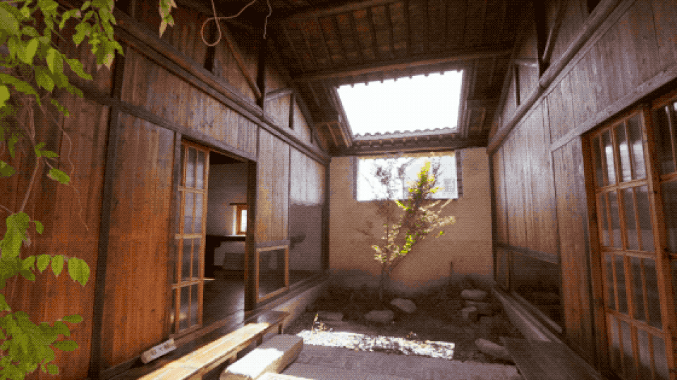 Cuộc sống trong mơ của đôi vợ chồng bỏ phố về quê, trồng rau nuôi cá - 5 Cuộc sống trong mơ của đôi vợ chồng bỏ phố về quê, trồng rau nuôi cá - 5