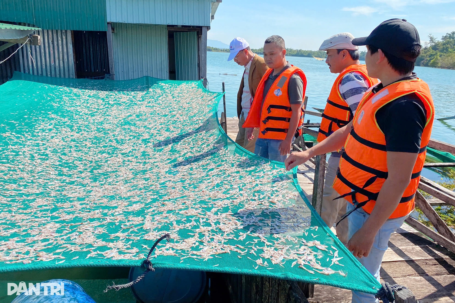 Tay trắng lên núi, người miền Tây dựng làng chài, đổi vận ở lòng hồ Sê San - 11 Tay trắng lên núi, người miền Tây dựng làng chài, đổi vận ở lòng hồ Sê San - 11