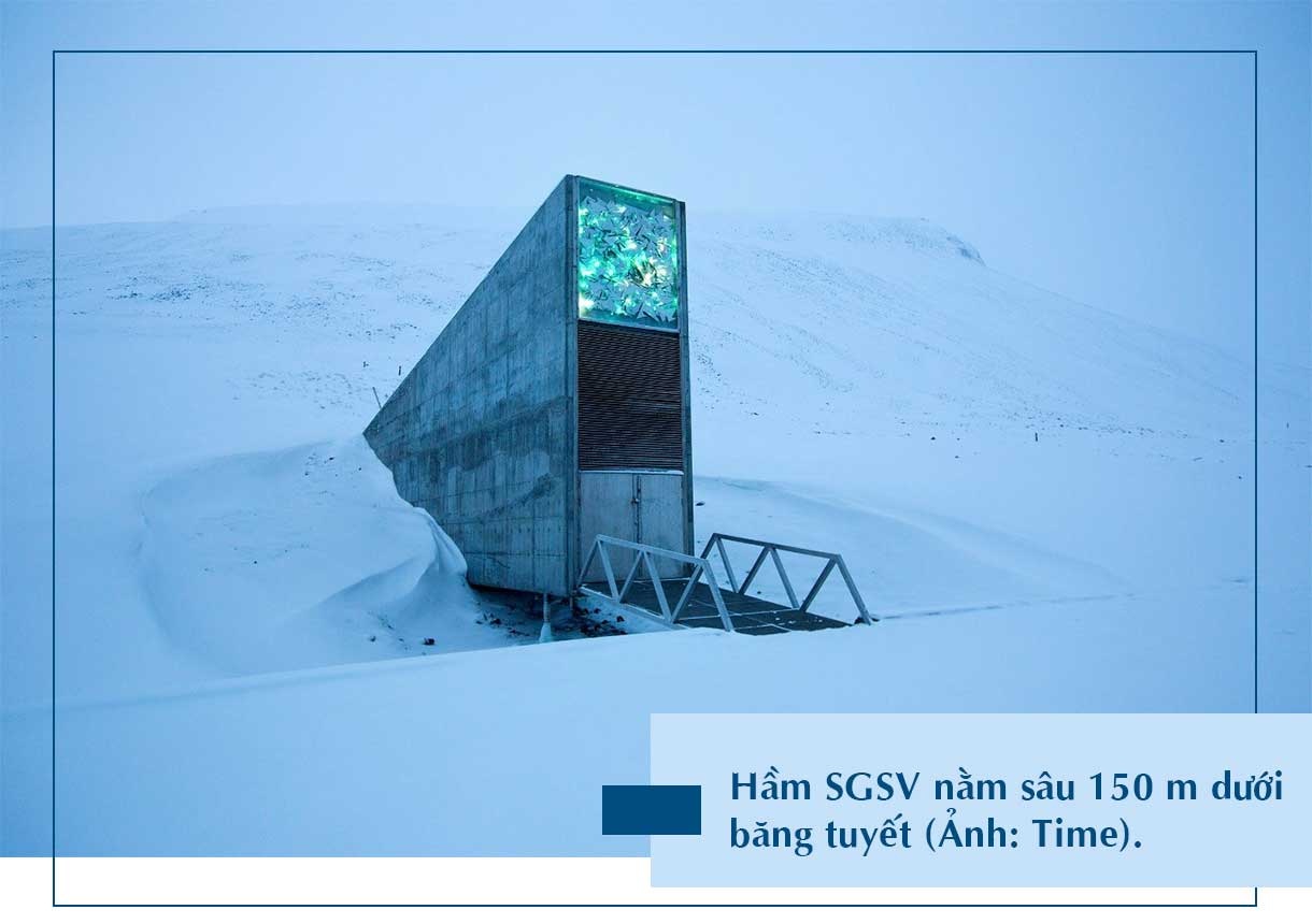 Vì sao căn hầm đặc biệt ở Na Uy được gọi là hầm chống tận thế? - 4 Vì sao căn hầm đặc biệt ở Na Uy được gọi là hầm chống tận thế? - 4