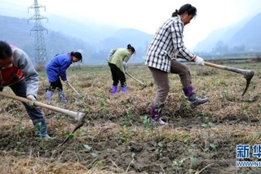 Phụ nữ nông thôn thiếu tình cảm khiến chính quyền Trung Quốc lo lắng