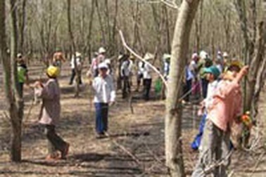 Quảng Trị: Thu mua... sâu bọ