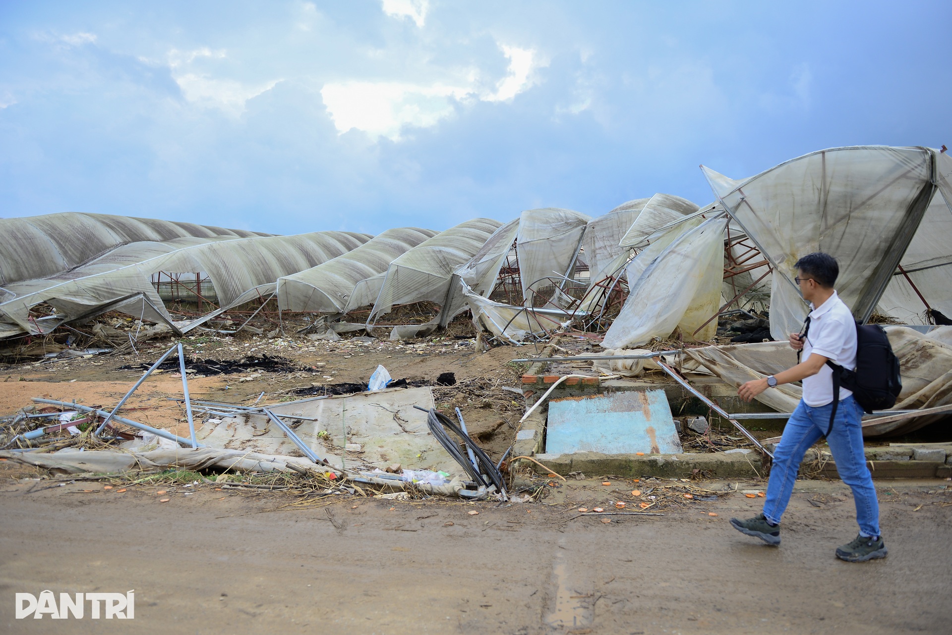 Lũ lịch sử cuốn phăng “thủ phủ” rau Lâm Đồng, đồng ruộng hoang lạnh - 1 Lũ lịch sử cuốn phăng “thủ phủ” rau Lâm Đồng, đồng ruộng hoang lạnh - 1