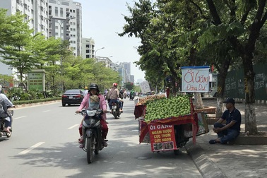 Hoa quả siêu rẻ tràn vỉa hè: Người tiêu dùng cẩn thận tránh sập bẫy