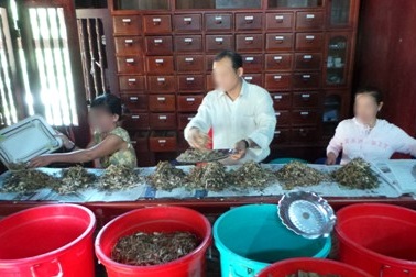 Tử vong vì uống thuốc đông y chứa thạch tín, thủy ngân