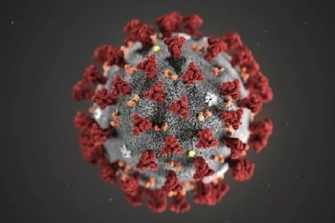 Chuyên gia tiết lộ cơ chế lây nhiễm “đặc biệt” của coronavirus