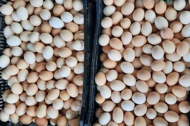 Trứng gà giảm giá kỷ lục, được rao bán la liệt rẻ chưa từng có