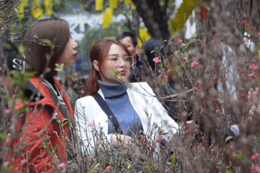 Phố hoa Hàng Lược đông vui tấp nập người mua sắm ngày áp Tết