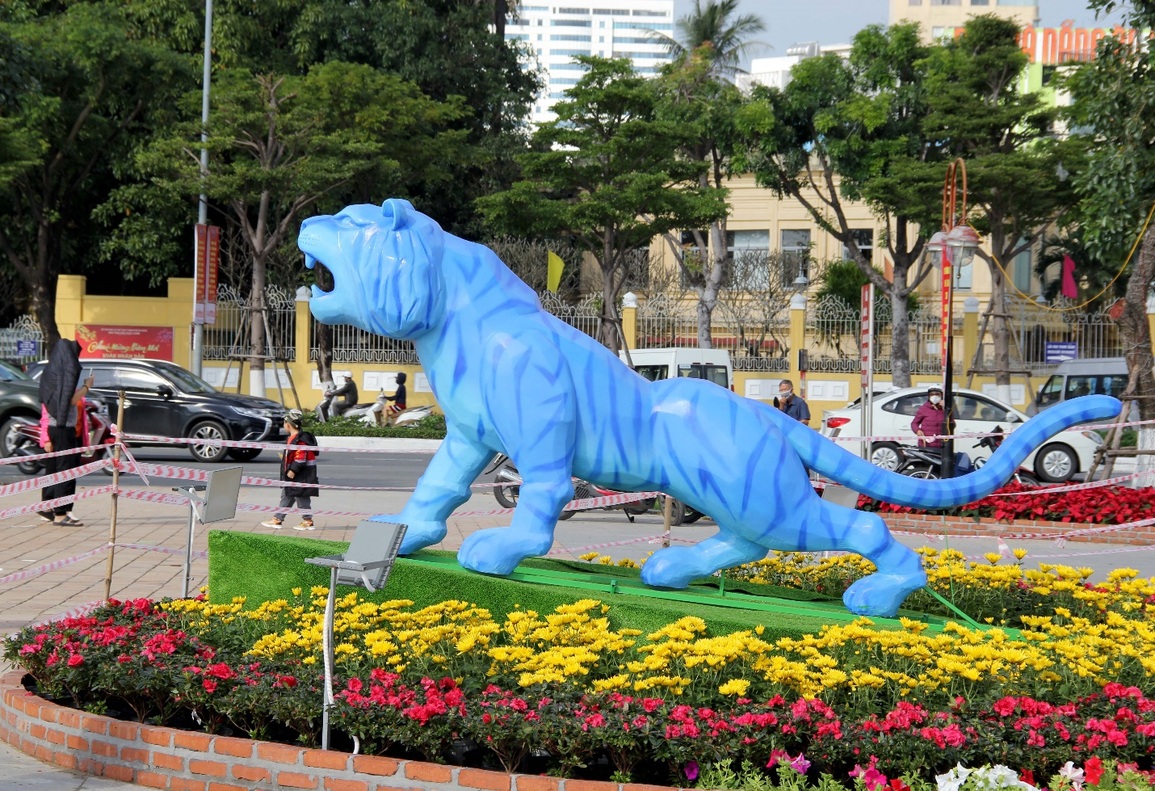 Đàn hổ đủ màu sắc xuống đường hoa Đà Nẵng - 9 Đàn hổ đủ màu sắc xuống đường hoa Đà Nẵng - 9