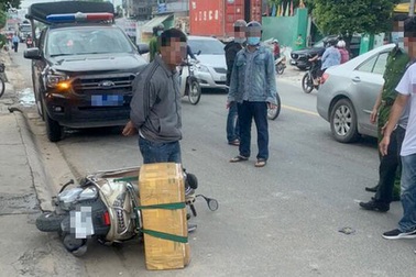 Tạm giữ người đàn ông chở rắn hổ mang chúa nặng 20kg đi bán