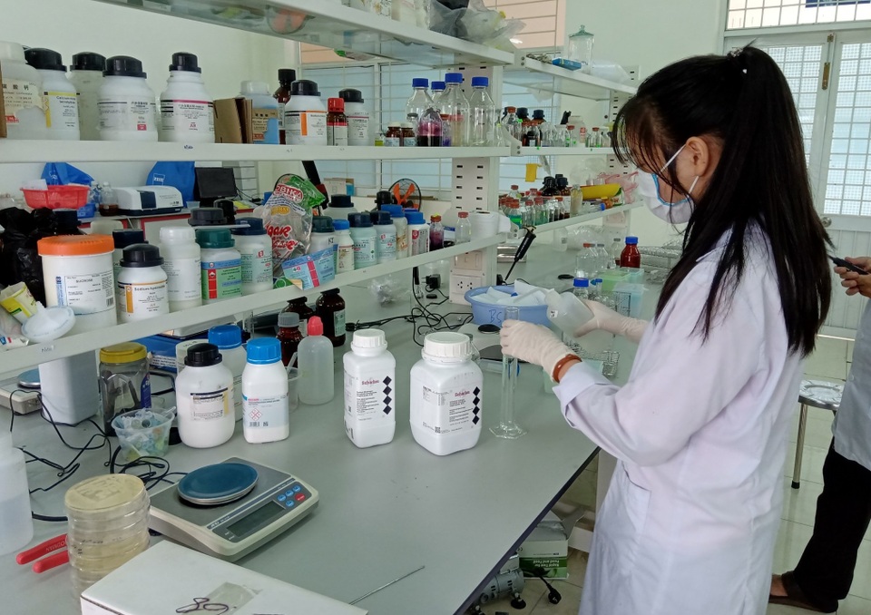 Hai nữ sinh lớp 11 nghiên cứu khả năng kháng đái tháo đường của cây lá gai - 2 Hai nữ sinh lớp 11 nghiên cứu khả năng kháng đái tháo đường của cây lá gai - 2