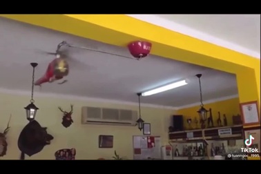 Chiếc quạt trần với thiết kế độc đáo và hài hước