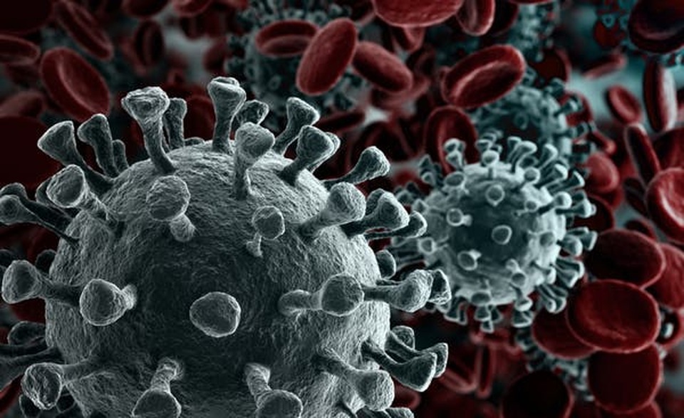 Vì sao WHO nói phải mất 18 tháng mới có vắc xin phòng virus corona? - 1 Vì sao WHO nói phải mất 18 tháng mới có vắc xin phòng virus corona? - 1