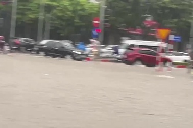 Cano lướt sóng trên đường