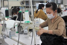 Chưa có thực tập sinh Việt Nam nào tại Nhật Bản bị lây nhiễm Covid-19