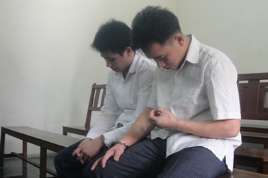 Buôn bán động vật hoang dã, "hô biến" mèo thành... hổ