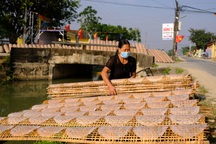 Kiếm tiền triệu mỗi ngày nhờ tráng bánh đa nem phục vụ Tết