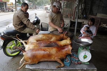 Thịt chó của Việt Nam vào danh sách những món ăn kỳ dị thế giới