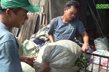 Giá cau tăng cao, chủ lò sấy kiếm trăm triệu đồng mỗi tháng