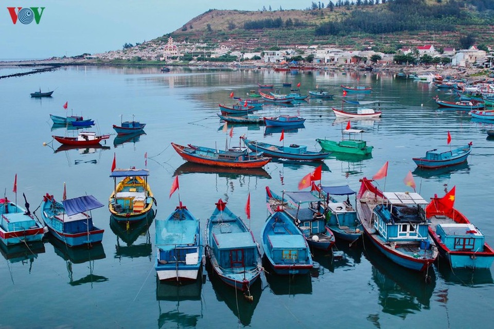 Khám phá đảo Lý Sơn - thiên đường biển xanh của Quảng Ngãi - 20 Khám phá đảo Lý Sơn - thiên đường biển xanh của Quảng Ngãi - 20
