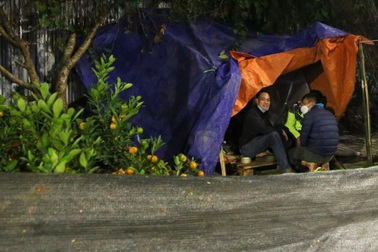 Lọ mọ đêm hôm trong mưa rét trông đào quất Tết ở Hà Nội