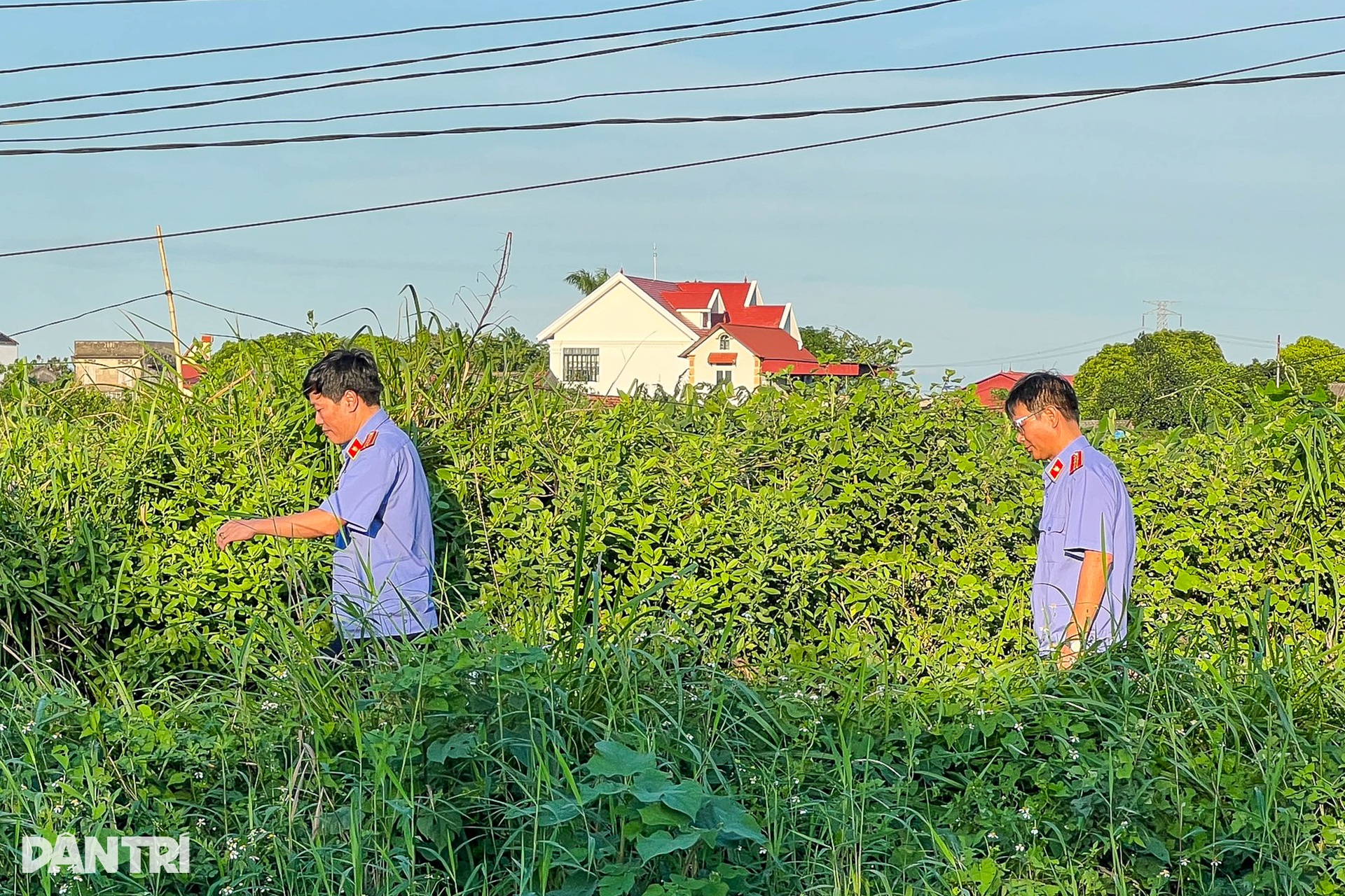 Cận cảnh hiện trường phát hiện thi thể cháu bé 21 tháng tuổi bị sát hại - 6 Cận cảnh hiện trường phát hiện thi thể cháu bé 21 tháng tuổi bị sát hại - 6