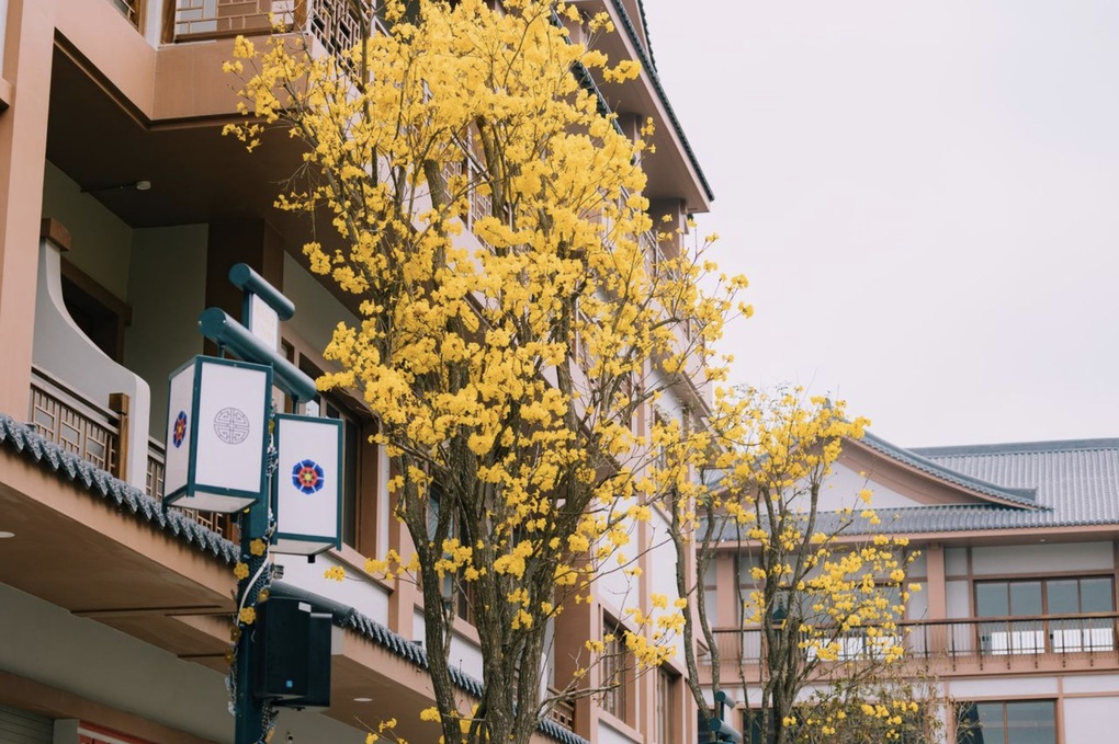 K-Town - Điểm nhấn kiến trúc phố Hàn tại bờ đông Hà Nội - 1 K-Town - Điểm nhấn kiến trúc phố Hàn tại bờ đông Hà Nội - 1