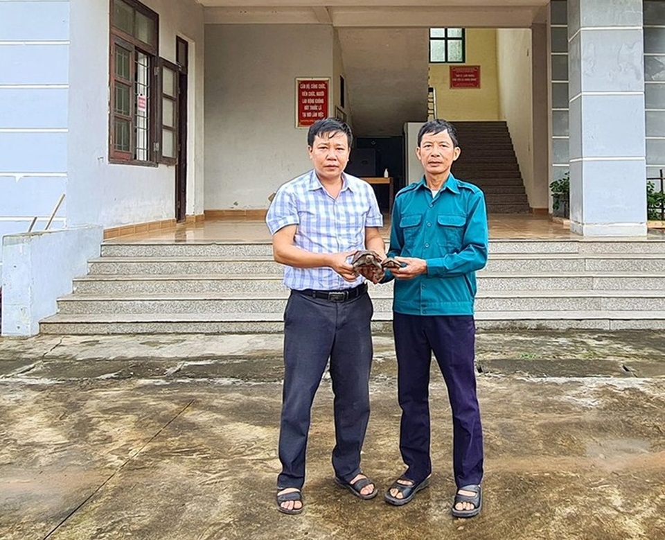 Tiếp nhận 3 cá thể động vật hoang dã quý hiếm để chăm sóc, thả về tự nhiên - 1 Tiếp nhận 3 cá thể động vật hoang dã quý hiếm để chăm sóc, thả về tự nhiên - 1