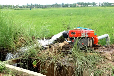 Nắng nóng gay gắt, nông dân khoan giếng cứu lúa