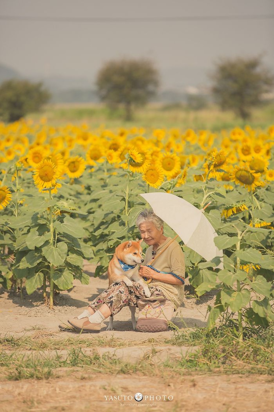 Gác lại căng thẳng để nhìn ngắm cuộc sống yên bình của “bà cụ và cún cưng” - 16 Gác lại căng thẳng để nhìn ngắm cuộc sống yên bình của “bà cụ và cún cưng” - 16