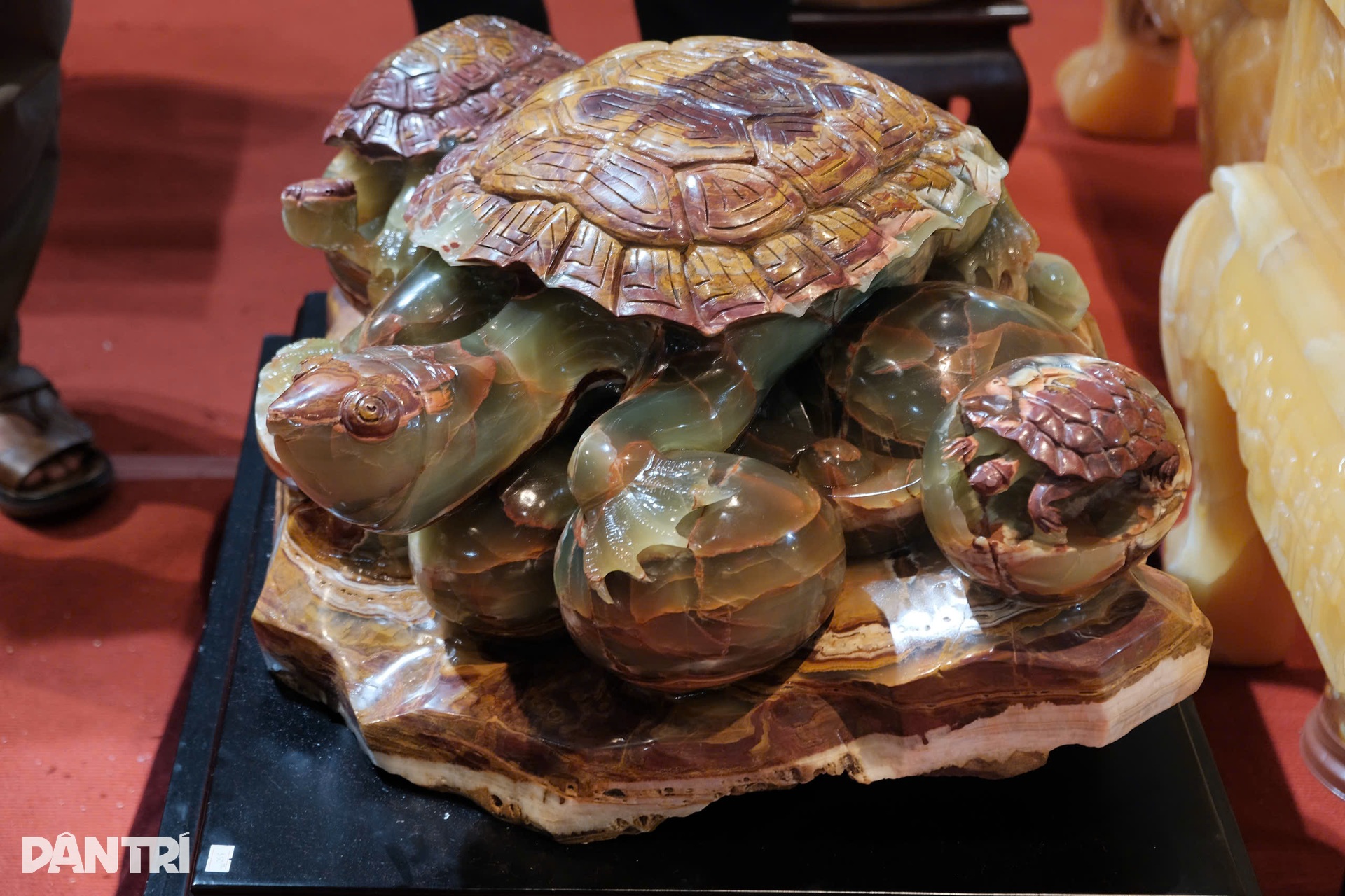 Loạt đá quý có giá rao bán cả tỷ đồng tại Hội chợ Mùa Thu - 11 Loạt đá quý có giá rao bán cả tỷ đồng tại Hội chợ Mùa Thu - 11