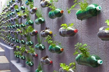 Độc chiêu Hà Thành: Trồng rau trong chai, giày nhựa, xoong nồi