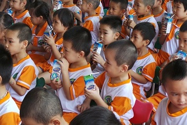 Bắc Ninh chính thức triển khai chương trình Sữa học đường