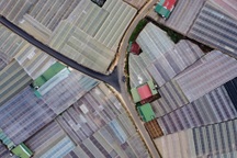 "Vòng kim cô" đang bóp nghẹt Đà Lạt