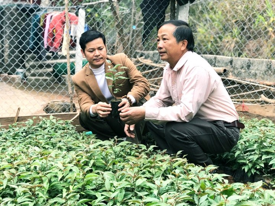 Lạng Sơn: Kiếm bộn tiền nhờ ghép cây đào chuông quý hiếm ra hoa đẹp, độc, lạ. - 1 Lạng Sơn: Kiếm bộn tiền nhờ ghép cây đào chuông quý hiếm ra hoa đẹp, độc, lạ. - 1