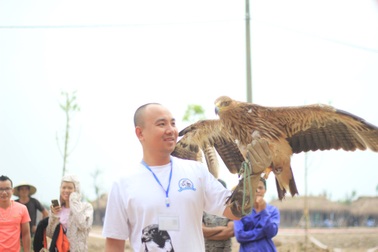 Đại bàng hơn 200 triệu đồng hùng dũng giữa trăm chim săn mồi