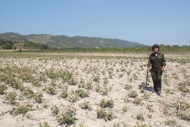 Khánh Hòa xin ngân sách 36 tỷ đồng chống hạn "cứu" dân