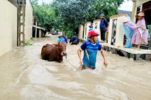 Vĩnh Phúc tìm hướng khắc phục hậu quả trận ngập lịch sử